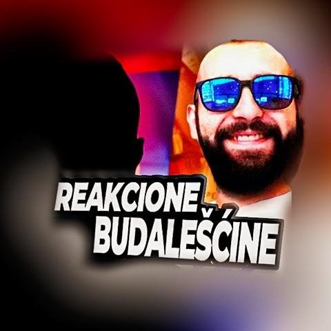 Reakcione Budale&scaron;ćine